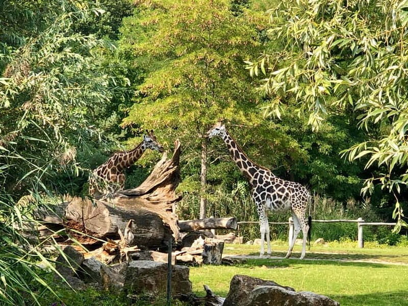 Leipzig: Segway Tour - Explore City, Zoo & a Stunning View - Value and Practicality