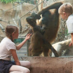 Leipzig Zoo: Entry Ticket - Practical Details That Make a Difference