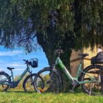 Lembach: Electric bike rental by the day - Exploring the Northern Vosges on an Electric Bike