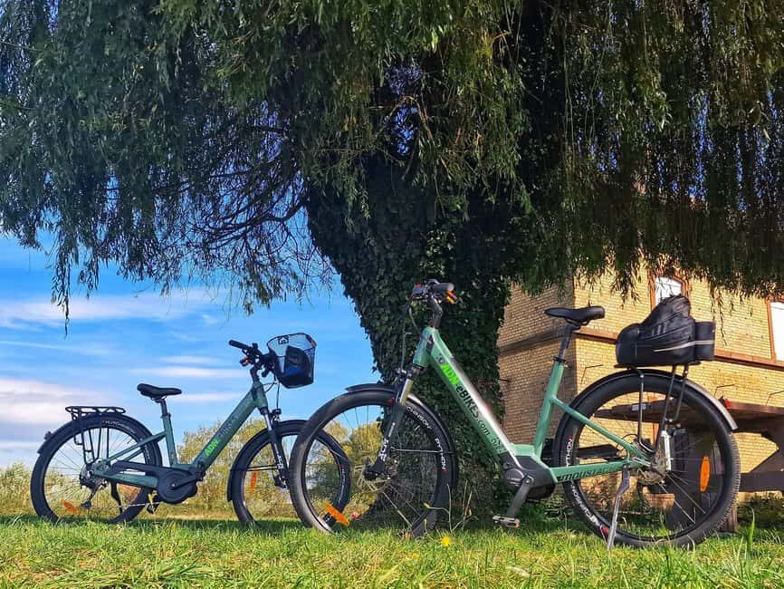 Lembach: Electric bike rental by the day - Exploring the Northern Vosges on an Electric Bike