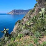 Lemon tour with limoncino and wine tasting in Vernazza (Cinque Terre) - A Closer Look at the Tour Experience