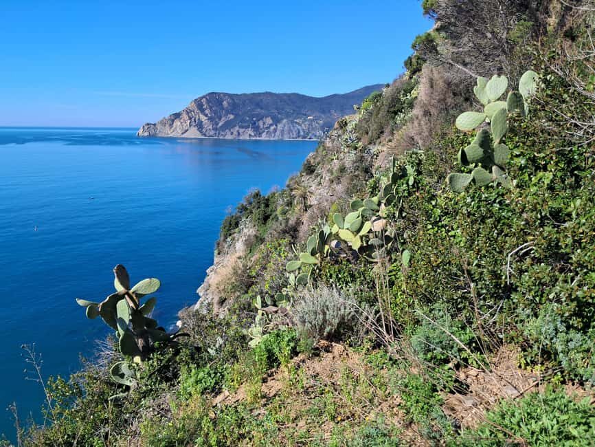 Lemon tour with limoncino and wine tasting in Vernazza (Cinque Terre) - A Closer Look at the Tour Experience