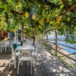 Lemons & Breathtaking Views: Amalfi Monumental Garden Tour - An In-Depth Look at the Amalfi Monumental Garden Tour