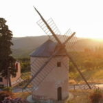 Leonardo Da Vinci's wind mill visit and Organic olive oil tasting - A Closer Look at the Tour: What to Expect