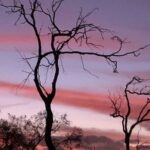 Lesmurdie Falls Sunset & Sparkling Hike - FAQs