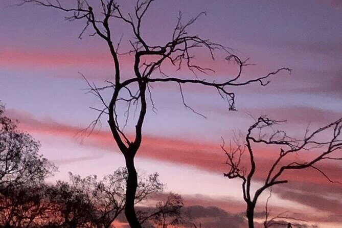 Lesmurdie Falls Sunset & Sparkling Hike - FAQs