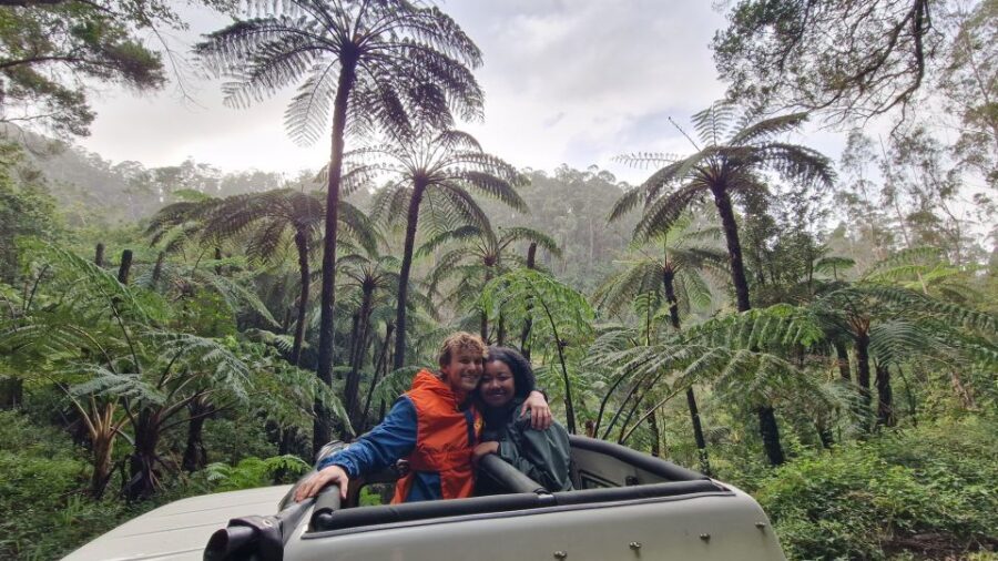 Let-Me-Surprise-You Madeira Full Day Private Tour - Who Will Appreciate This Tour?