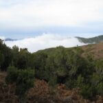Levada do Alecrim (Madeira Lakes) Full-day walk - The Sum Up