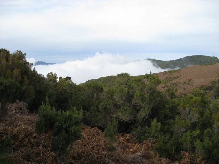Levada do Alecrim (Madeira Lakes) Full-day walk - The Sum Up