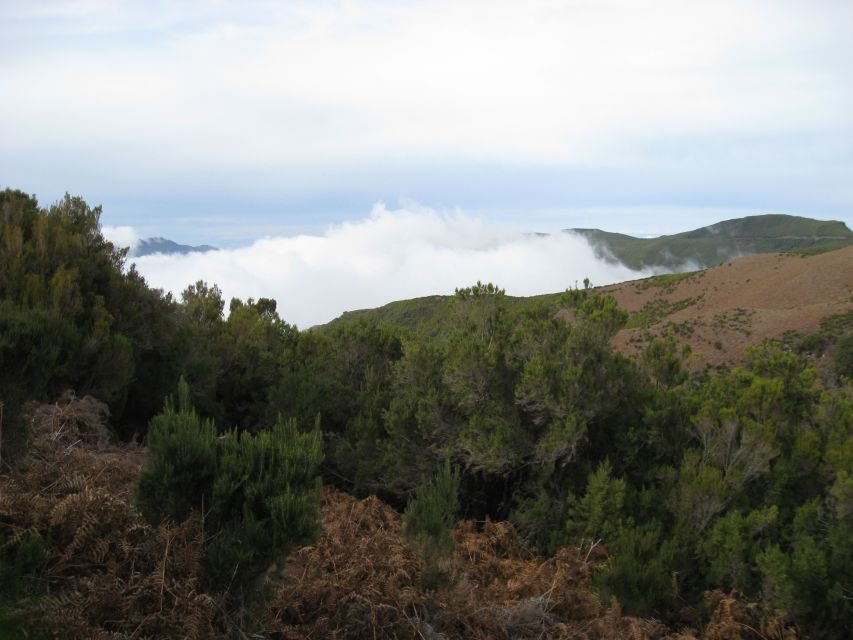 Levada do Alecrim (Madeira Lakes) Full-day walk - The Sum Up