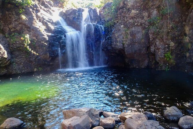 Levada do Alecrim - Rosemary Levada (Full Day Walk) - Authentic Experiences and Practical Tips