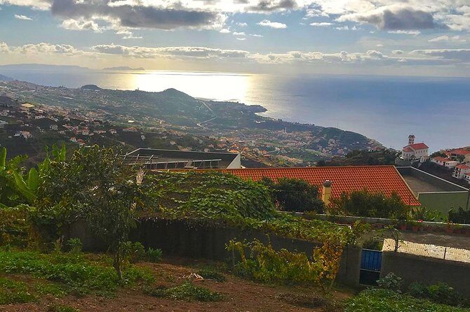 Levada do Norte - Walking Tour - Who Will Love This Tour?