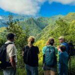 Levada do Rei (PR18) - Through Madeira's Majestic Laurissilva - A Thorough Look at Madeira’s Levada do Rei Experience