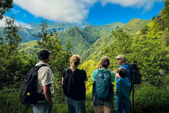 Levada do Rei (PR18) - Through Madeira's Majestic Laurissilva - A Thorough Look at Madeira’s Levada do Rei Experience