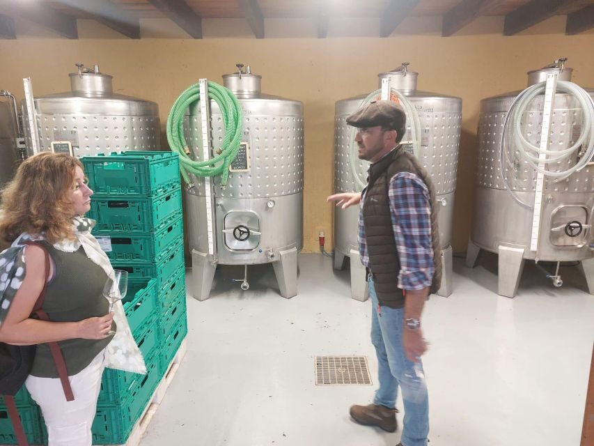 Levada Walk, Cider Tasting & Lunch - A Detailed Look at the Tour: Nature, Flavors, and History