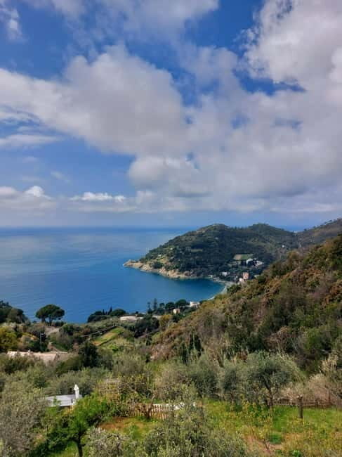 Levanto: Hiking Tour with Creative Workshop! - An In-Depth Look at the Levanto: Hiking Tour with Creative Workshop
