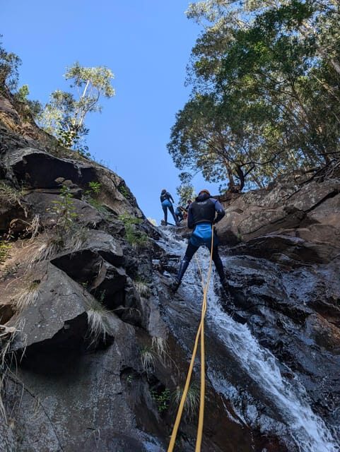 Level 2 - Canyoning Adventure - Intermediate - Funchal - Price and Value