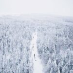 Levi: 15-Kilometres Self-Driving Husky Tour - The Itinerary in Detail