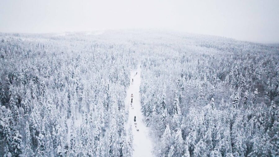 Levi: 15-Kilometres Self-Driving Husky Tour - The Itinerary in Detail