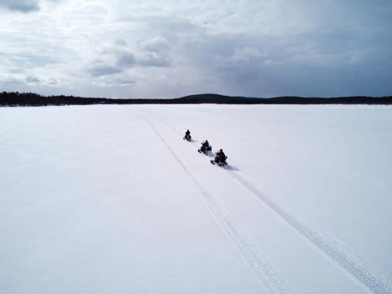Levi: 2-Hour Snowmobile Safari Led by Local Guides - The Details: Logistics and Practicalities