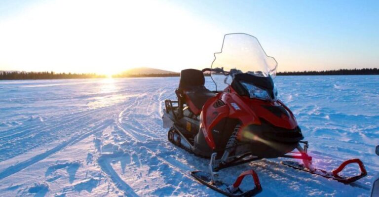 Levi: 3 Hour Snowmobile Safari Around Levi with Coffee Break - Who Is This Tour Best For?