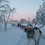 Levi: 3km Reindeer Sleigh Ride in the forest at night - Value and Practical Considerations