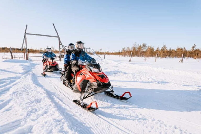 Levi: 6 Hour Authentic Snowmobile Safari to Lappish Villages - Pricing and Value