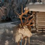 Levi: Canoeing Adventure with Reindeer Farm Visit - FAQ