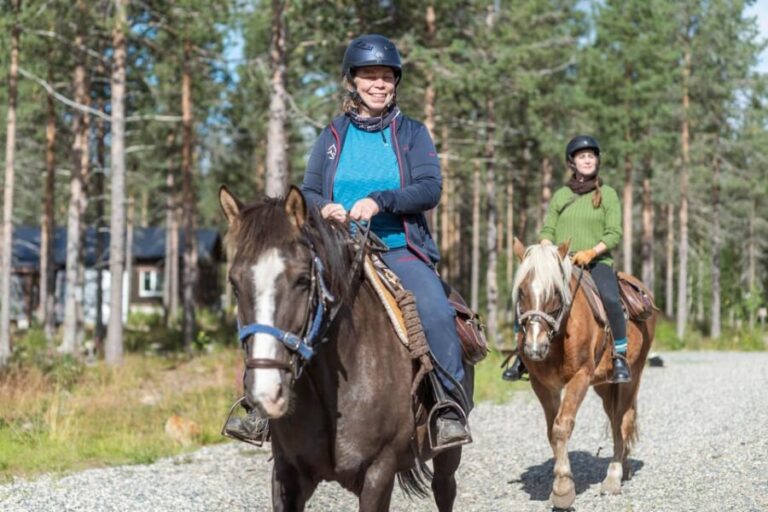 Levi: Evening Horseback Ride with Northern Lights - The Travel Details and Practicalities