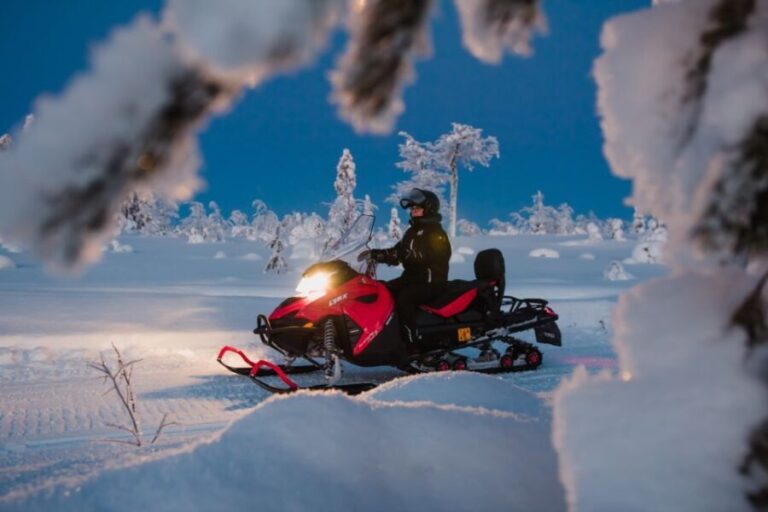 Levi: Evening Snowmobile Safari - The Sum Up