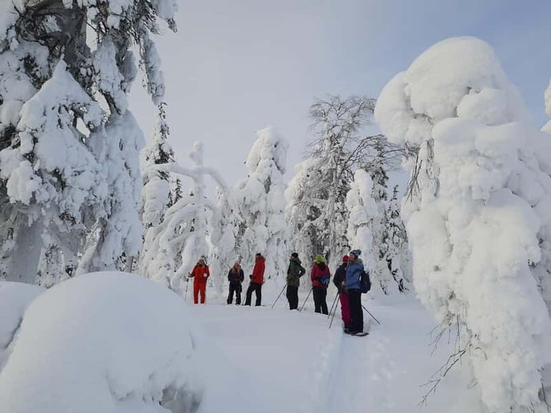 Levi: Evening Snowshoe Walk Under Northern Sky - An In-Depth Look at the Levi Evening Snowshoe Walk