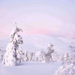 Levi: Explore the Wilderness - A Deep Dive into the Levi Wilderness Tour