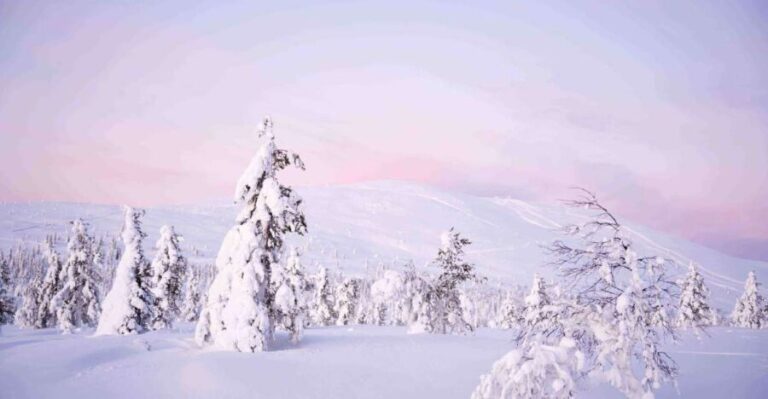 Levi: Explore the Wilderness - A Deep Dive into the Levi Wilderness Tour