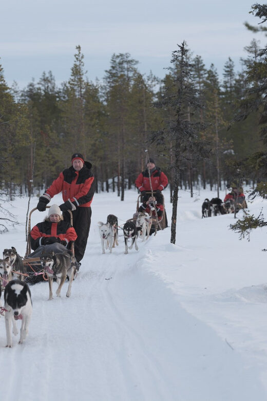 Levi: Follow the Elves  One day husky safari - A Complete Breakdown of the Day