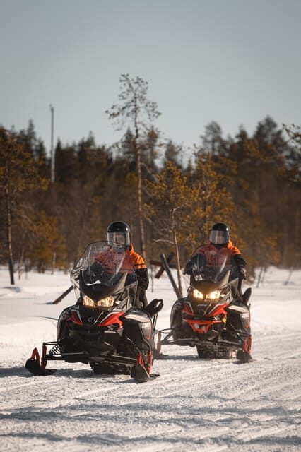 Levi: Full Day Snowmobile Safari to Wilderness - Who Would Enjoy This Tour?