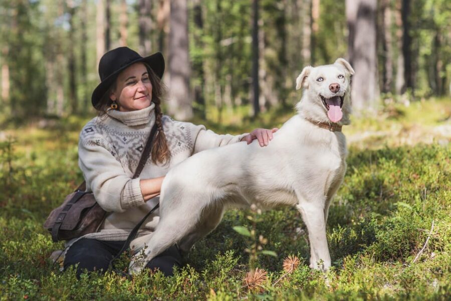 Levi: Horse and Husky Farm Visit with Juice and Cookies - An Engaging Look at the Experience