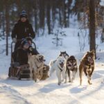Levi: Husky Adventure Self-Drive Safari 15km - Who Would Love This Tour?