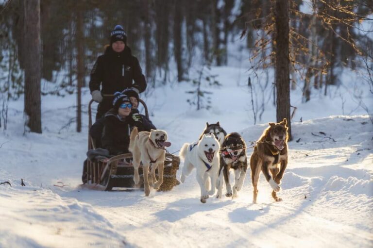 Levi: Husky Adventure Self-Drive Safari 15km - Who Would Love This Tour?