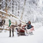 Levi: Husky and Reindeer Farm Visit with Snowmobiling - An In-Depth Look at the Tour Experience