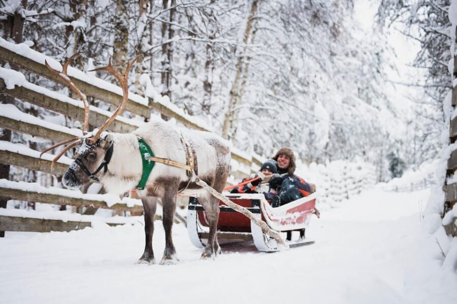 Levi: Husky and Reindeer Farm Visit with Snowmobiling - An In-Depth Look at the Tour Experience