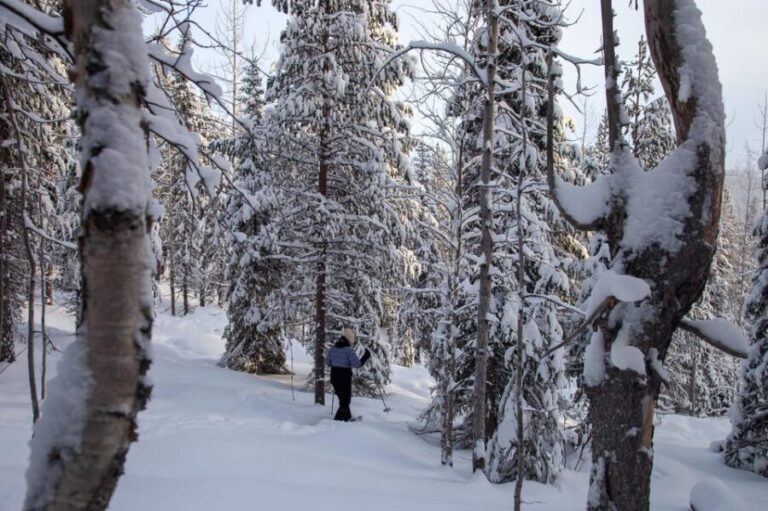 Levi: Lakeside forest snowshoeing - A Deep Dive into the Lakeside Forest Snowshoeing Tour