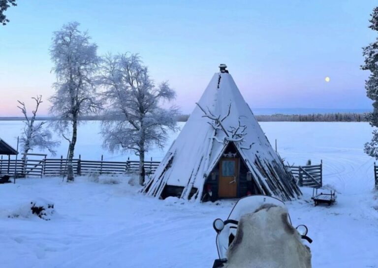 Levi: Lapland Reindeer Safari - Who Will Love This Tour?