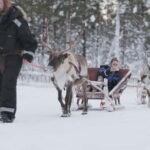 Levi: Lappish Reindeer Sled Ride 3 km - Why This Tour Offers Great Value