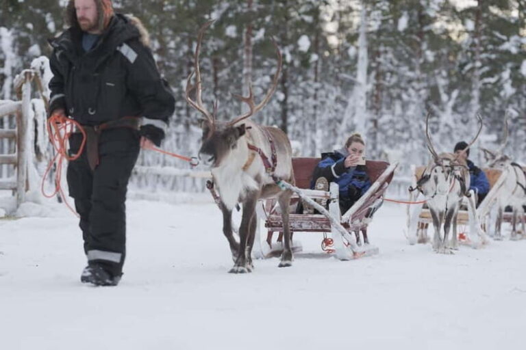 Levi: Lappish Reindeer Sled Ride 3 km - Why This Tour Offers Great Value