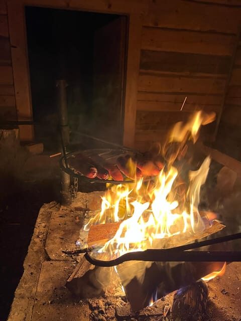Levi: Northern Lights Adventure in the Wild, Campfire Treats - Who Should Consider This Tour?
