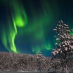 Levi: Northern Lights Campfire - What the Tour Offers in Detail