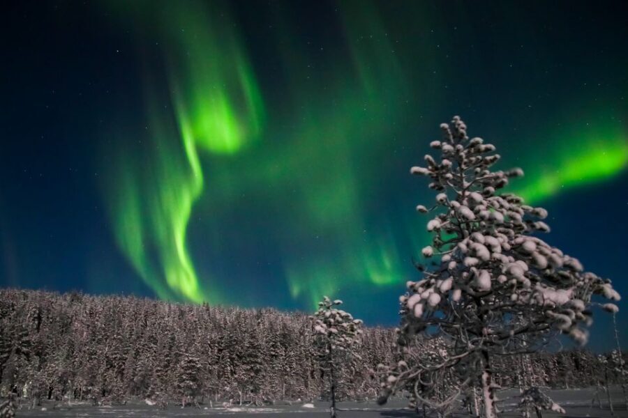 Levi: Northern Lights Campfire - What the Tour Offers in Detail