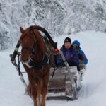 Levi: One Horse Open Sleigh Ride - Practical Details & What to Expect