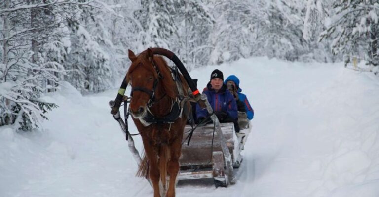 Levi: One Horse Open Sleigh Ride - Practical Details & What to Expect