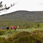 Levi: Pallas Panoramic Hike - Who Should Consider This Tour?